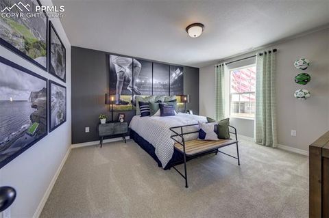 Tiny photo for 8268 Sophia Lane, Falcon, CO 80831 (MLS # 2876791)