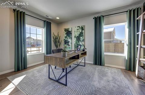 Tiny photo for 8268 Sophia Lane, Falcon, CO 80831 (MLS # 2876791)