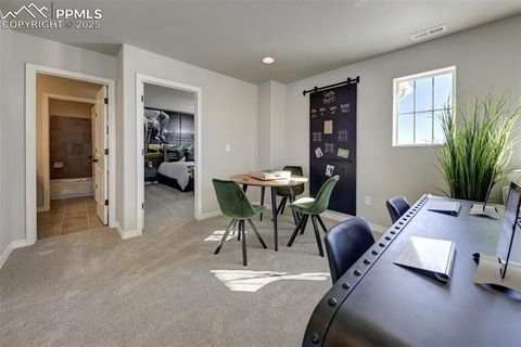 Tiny photo for 8268 Sophia Lane, Falcon, CO 80831 (MLS # 2876791)