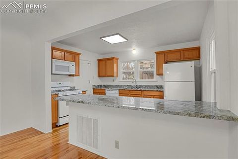 Tiny photo for 917 N Institute Street, Colorado Springs, CO 80903 (MLS # 7203278)