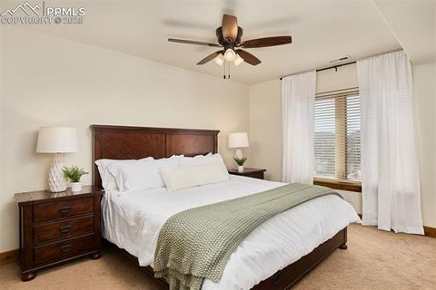 Tiny photo for 330 Ponderosa Court, Woodland Park, CO 80863 (MLS # 6589555)