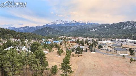 Tiny photo for 330 Ponderosa Court, Woodland Park, CO 80863 (MLS # 6589555)