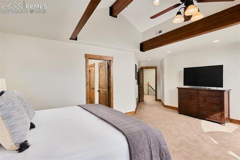 Tiny photo for 330 Ponderosa Court, Woodland Park, CO 80863 (MLS # 6589555)