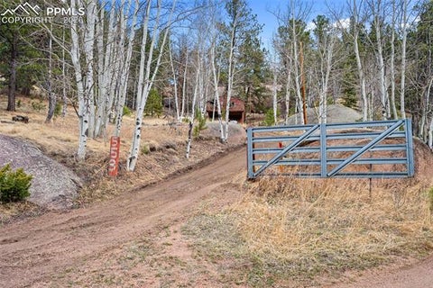 Tiny photo for 553 Arrowhead Road, Florissant, CO 80816 (MLS # 9715517)