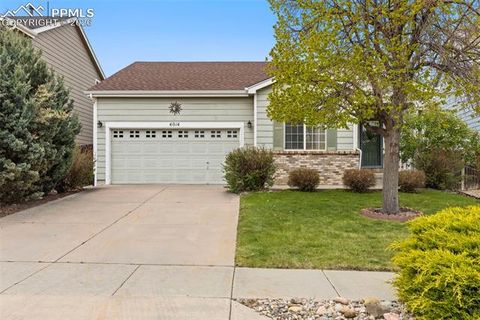 Photo of 4014 Pioneer Creek Drive, Colorado Springs, CO 80922 (MLS # 9838931)
