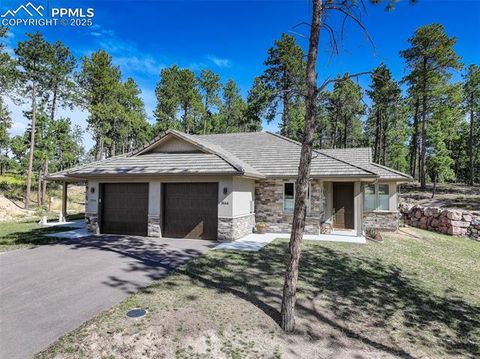 Photo of 3144 Promise Point, Colorado Springs, CO 80921 (MLS # 9821491)