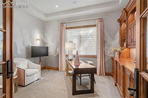 Tiny photo for 1830 Brantfeather Grove, Colorado Springs, CO 80906 (MLS # 6733121)