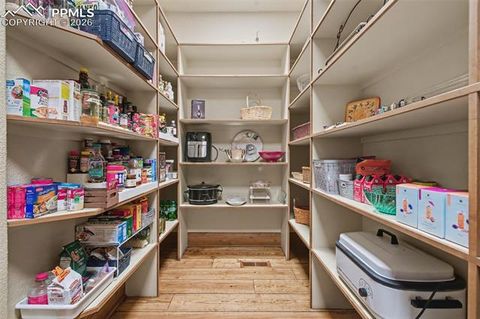 Tiny photo for 1830 Brantfeather Grove, Colorado Springs, CO 80906 (MLS # 6733121)