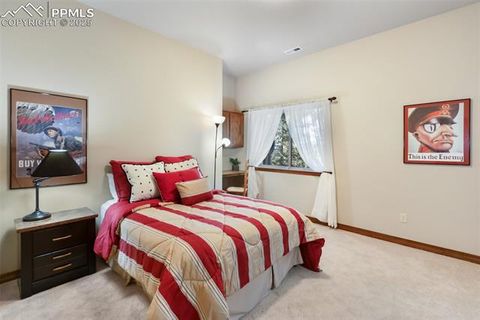 Tiny photo for 1380 Crestview Way, Woodland Park, CO 80863 (MLS # 7700122)