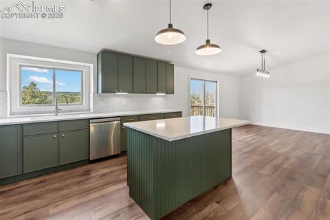 Tiny photo for 300 Piney Point Lane, Woodland Park, CO 80863 (MLS # 8616623)