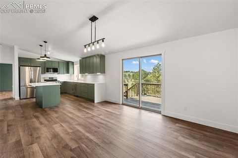 Tiny photo for 300 Piney Point Lane, Woodland Park, CO 80863 (MLS # 8616623)