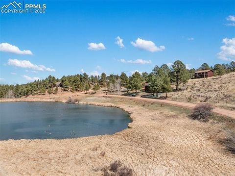 Tiny photo for 300 Piney Point Lane, Woodland Park, CO 80863 (MLS # 8616623)