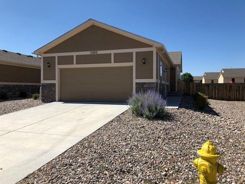 Photo of 11920 Brahman Court, Falcon, CO 80831 (MLS # R13323447)
