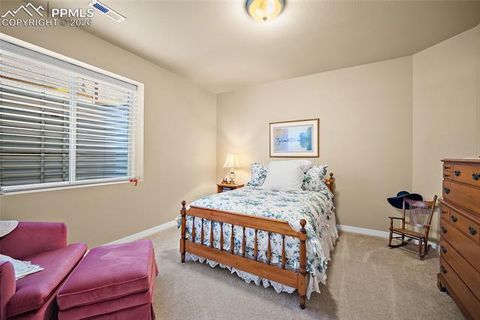 Tiny photo for 13253 Crane Canyon Loop, Colorado Springs, CO 80921 (MLS # 6568640)