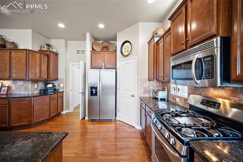 Tiny photo for 13253 Crane Canyon Loop, Colorado Springs, CO 80921 (MLS # 6568640)