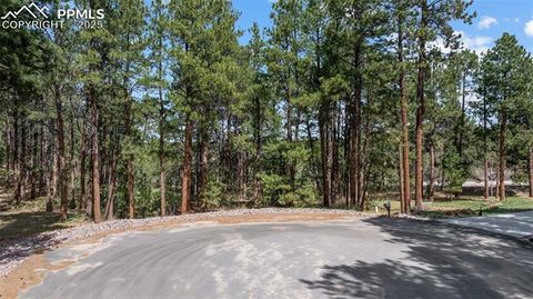 17970 Smugglers Way Monument CO 80132