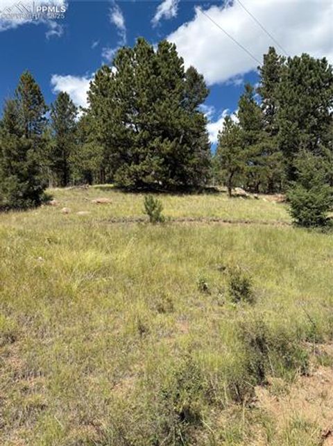 Photo of 3190 N Mountain Estates Road, Florissant, CO 80816 (MLS # 3295325)