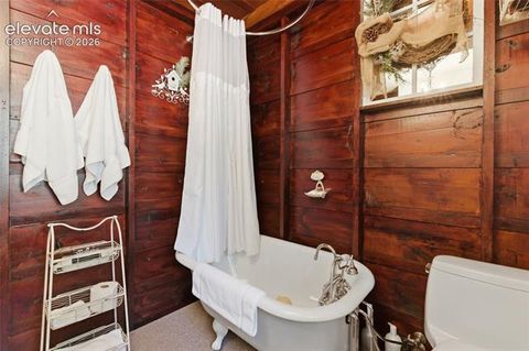 Tiny photo for 10825 Hondo Avenue, Green Mountain Falls, CO 80819 (MLS # 6604235)