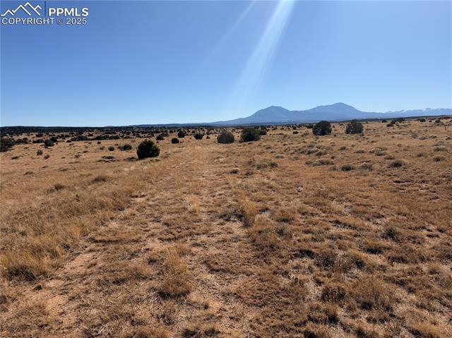 201 Greenhorn Village