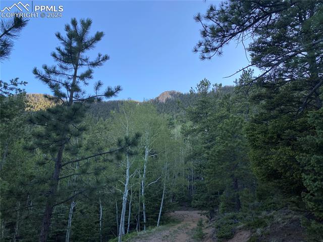 285 Forest Road