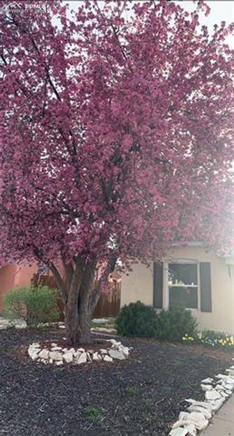 Tiny photo for 2223 Pine Street, Pueblo, CO 81004 (MLS # 7267780)