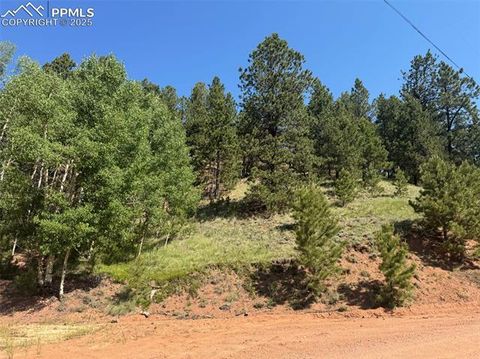 Photo of 281 Pikes Peak Drive, Divide, CO 80814 (MLS # 6411000) Photo of 281 Pikes Peak Drive, Divide, CO 80814 (MLS # 6411000)