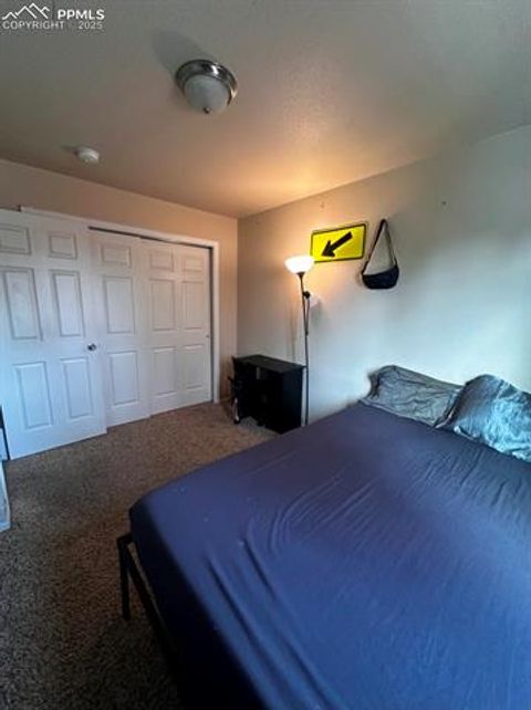 Tiny photo for 3051 Shikra View, Colorado Springs, CO 80916 (MLS # 7551607)