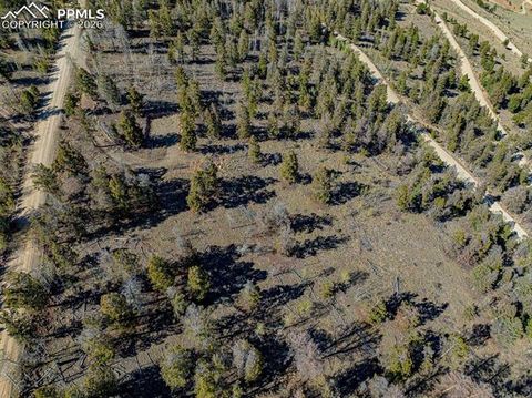Photo of 5302 Middle Fork Vista, Fairplay, CO 80440 (MLS # 9958959)
