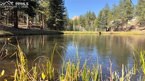 Tiny photo for 71 Durelli Drive, Woodland Park, CO 80863 (MLS # 7133129)