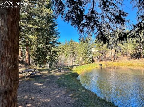 Tiny photo for 71 Durelli Drive, Woodland Park, CO 80863 (MLS # 7133129)