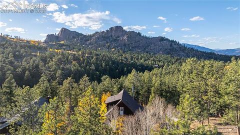 Tiny photo for 71 Durelli Drive, Woodland Park, CO 80863 (MLS # 7133129)