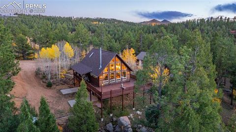 Tiny photo for 71 Durelli Drive, Woodland Park, CO 80863 (MLS # 7133129)