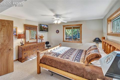 Tiny photo for 71 Durelli Drive, Woodland Park, CO 80863 (MLS # 7133129)