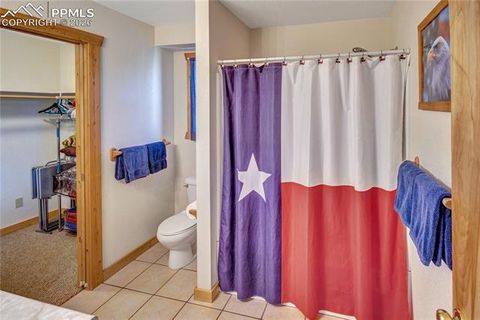 Tiny photo for 71 Durelli Drive, Woodland Park, CO 80863 (MLS # 7133129)