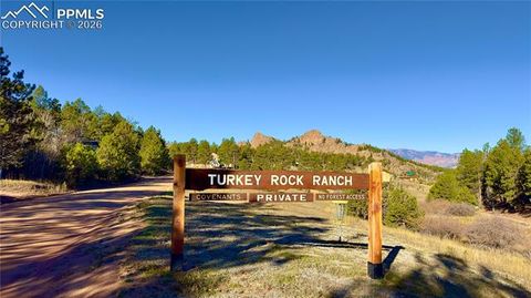 Tiny photo for 71 Durelli Drive, Woodland Park, CO 80863 (MLS # 7133129)