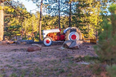 Tiny photo for 71 Durelli Drive, Woodland Park, CO 80863 (MLS # 7133129)