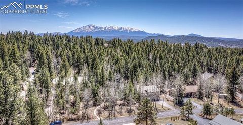 Tiny photo for 2873 Sunnywood Avenue, Woodland Park, CO 80863 (MLS # 5408569)