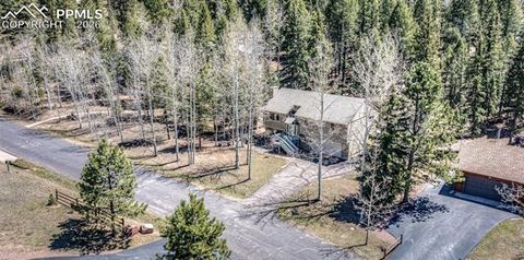 Tiny photo for 2873 Sunnywood Avenue, Woodland Park, CO 80863 (MLS # 5408569)