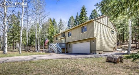 Tiny photo for 2873 Sunnywood Avenue, Woodland Park, CO 80863 (MLS # 5408569)