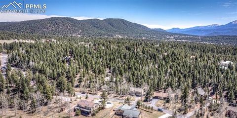 Tiny photo for 2873 Sunnywood Avenue, Woodland Park, CO 80863 (MLS # 5408569)