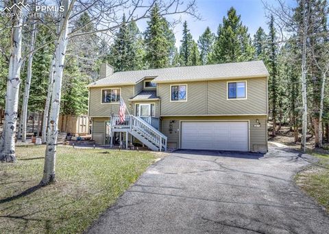 Photo of 2873 Sunnywood Avenue, Woodland Park, CO 80863 (MLS # 5408569)