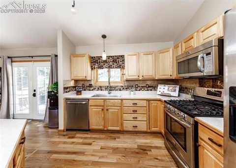 Tiny photo for 2873 Sunnywood Avenue, Woodland Park, CO 80863 (MLS # 5408569)