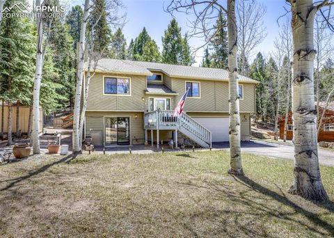 Tiny photo for 2873 Sunnywood Avenue, Woodland Park, CO 80863 (MLS # 5408569)