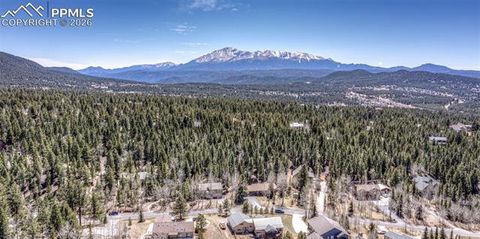 Tiny photo for 2873 Sunnywood Avenue, Woodland Park, CO 80863 (MLS # 5408569)