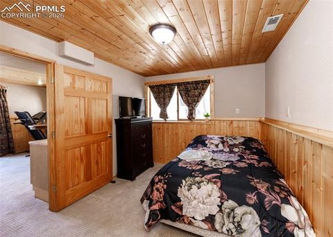 Tiny photo for 2873 Sunnywood Avenue, Woodland Park, CO 80863 (MLS # 5408569)