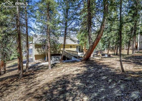 Tiny photo for 2873 Sunnywood Avenue, Woodland Park, CO 80863 (MLS # 5408569)