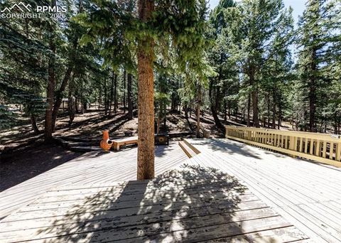 Tiny photo for 2873 Sunnywood Avenue, Woodland Park, CO 80863 (MLS # 5408569)