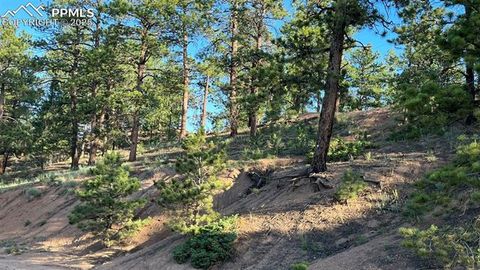 Photo of 19 Ranch Road, Sedalia, CO 80135 (MLS # 2387766) Photo of 19 Ranch Road, Sedalia, CO 80135 (MLS # 2387766)