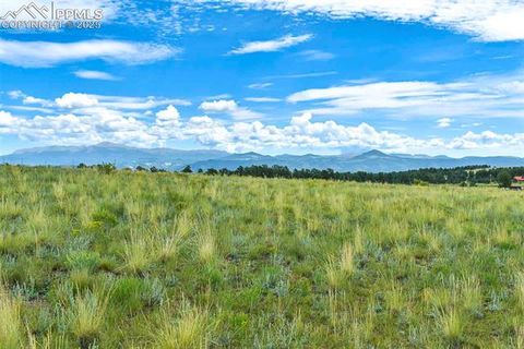 Photo of 4782 County Road 71, Guffey, CO 80820 (MLS # 8656976)