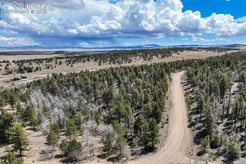 Photo of 1430 Singletree Road, Hartsel, CO 80449 (MLS # 9768945)